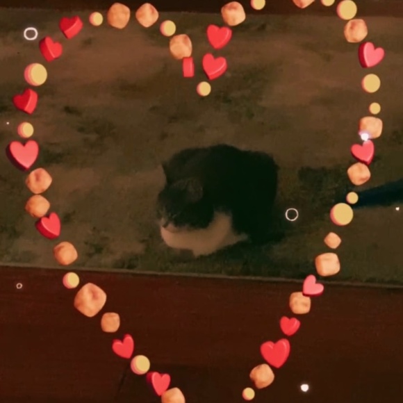 Meet your Posher, Meli! - Picture 7 of 13